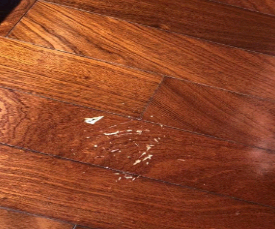 彩鋼瓦油漆草莓视频在线下载观看